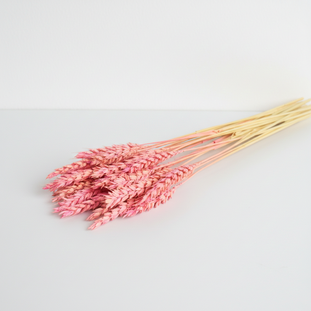 Sušená Pšenice světle růžová – jemná přírodní dekorace do kytic, věnců a aranžmá